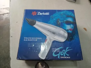 Professional Hair Dryer