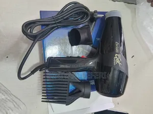 Professional Hair Dryer