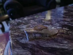 Heel Shoes