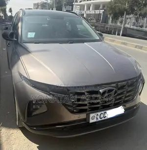 Hyundai Tucson Limited 2023 Brown