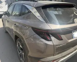 Hyundai Tucson Limited 2023 Brown