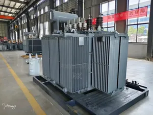 Transformer Oil Immersed And Dry Type