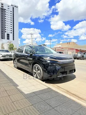 New BYD Tang EV 2025 Black
