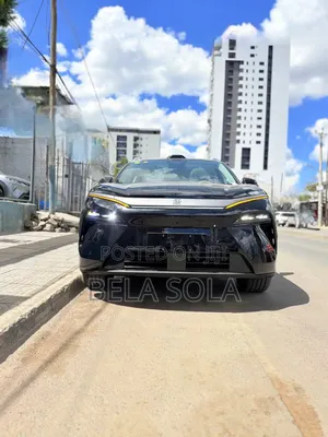 New BYD Tang EV 2025 Black