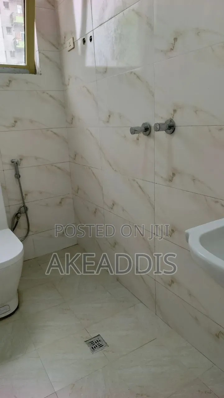 Furnished 2bdrm Condo in Bole Ayat for sale