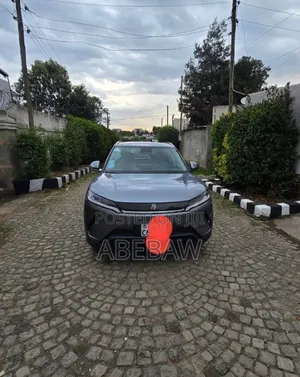 BYD Yuan Up 2024 Gray