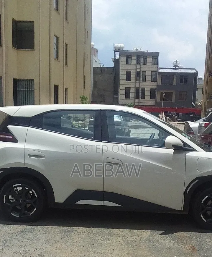 BYD Seagull 2024 White