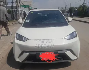 BYD Seagull 2024 White