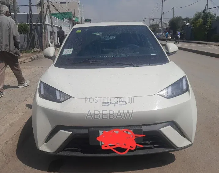 BYD Seagull 2024 White