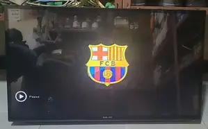 Sun Life 40 Inch