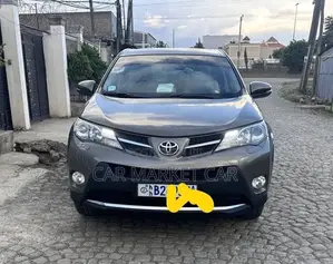 Toyota RAV4 2015 Gray