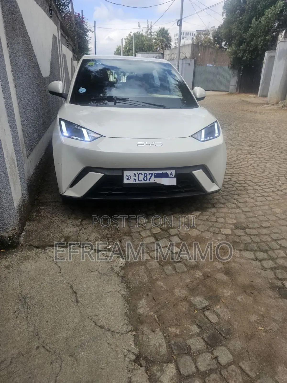 New BYD Seagull 2025 White