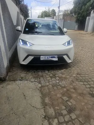 New BYD Seagull 2025 White
