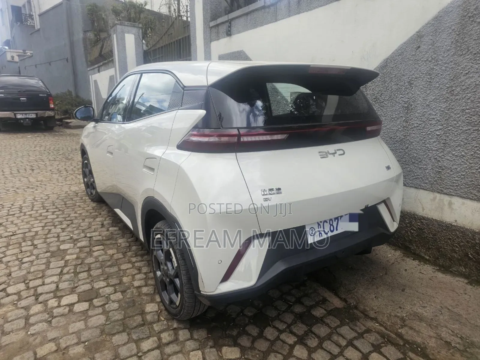 New BYD Seagull 2025 White