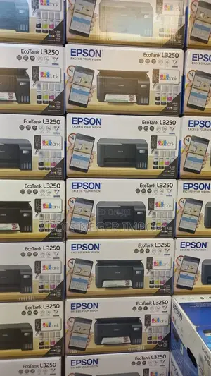 Epson L3250