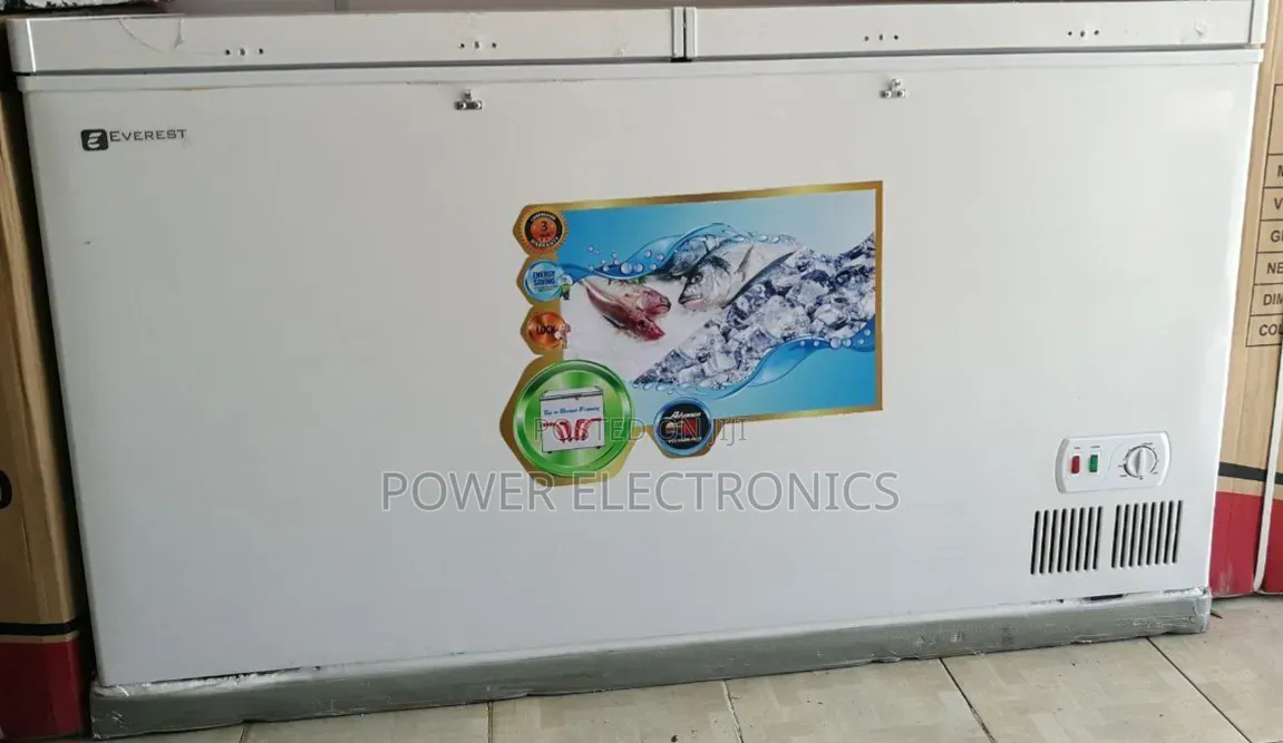 Everest 560l Dip Freezer