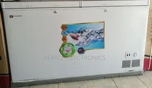 Everest 560l Dip Freezer