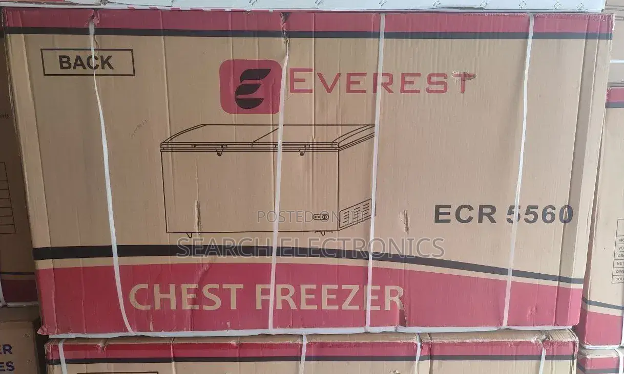 Everest 560l Dip Freezer