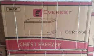 Everest 560l Dip Freezer