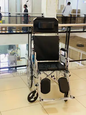 Wheelchair放飞