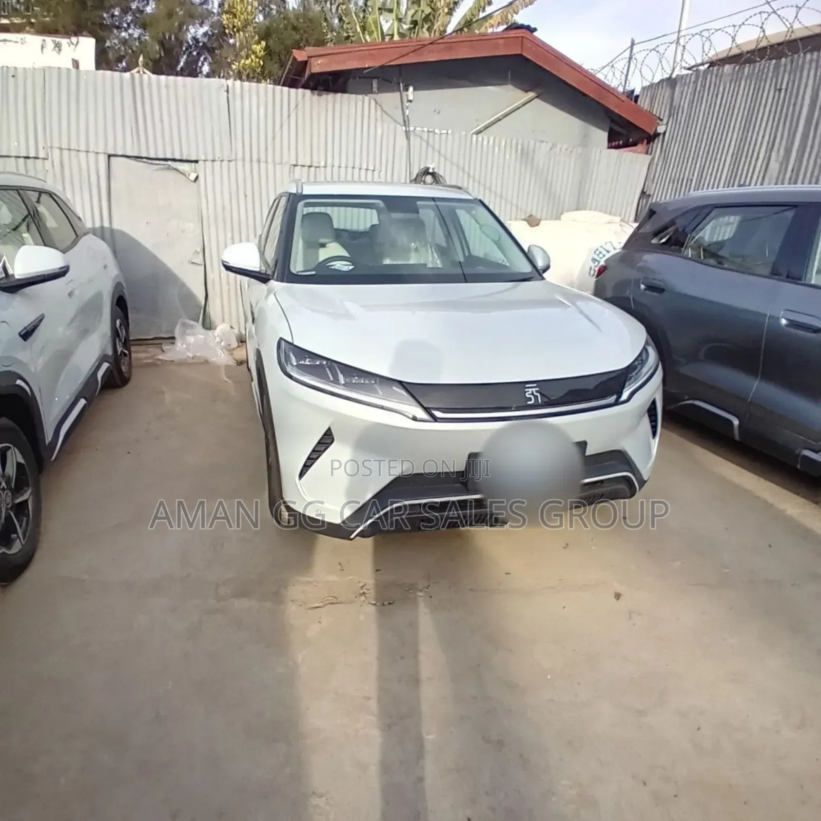 BYD Yuan Up 2024 Pearl