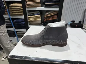 Aldo Suede Shoe