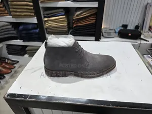 Aldo Suede Shoe