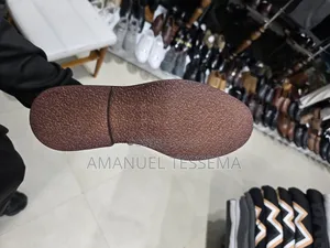 Aldo Suede Shoe