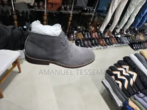 Aldo Suede Shoe