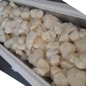 ሞዘሪላ ችዝ ኑኑ ውሰዱ
