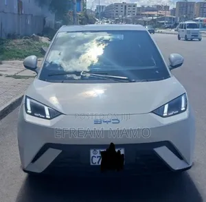 BYD Seagull 2025