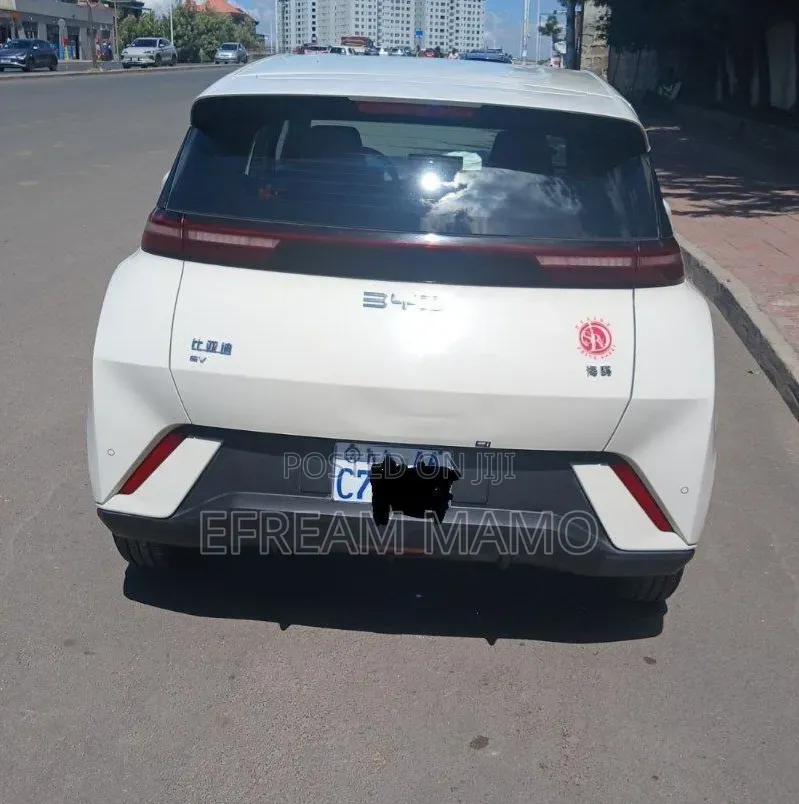 BYD Seagull 2025
