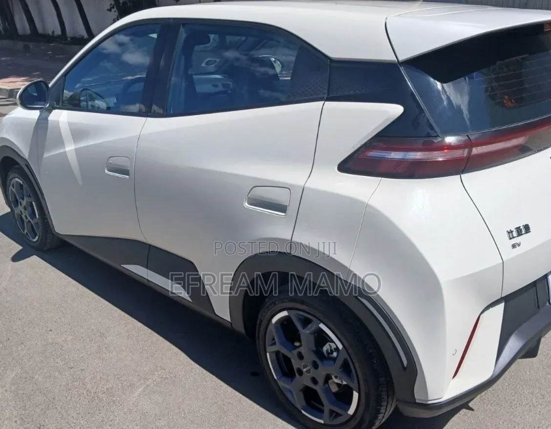 BYD Seagull 2025