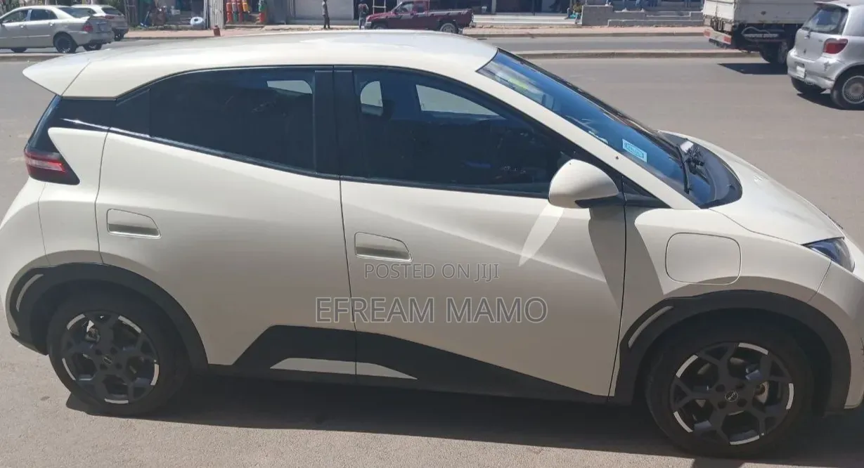 BYD Seagull 2025