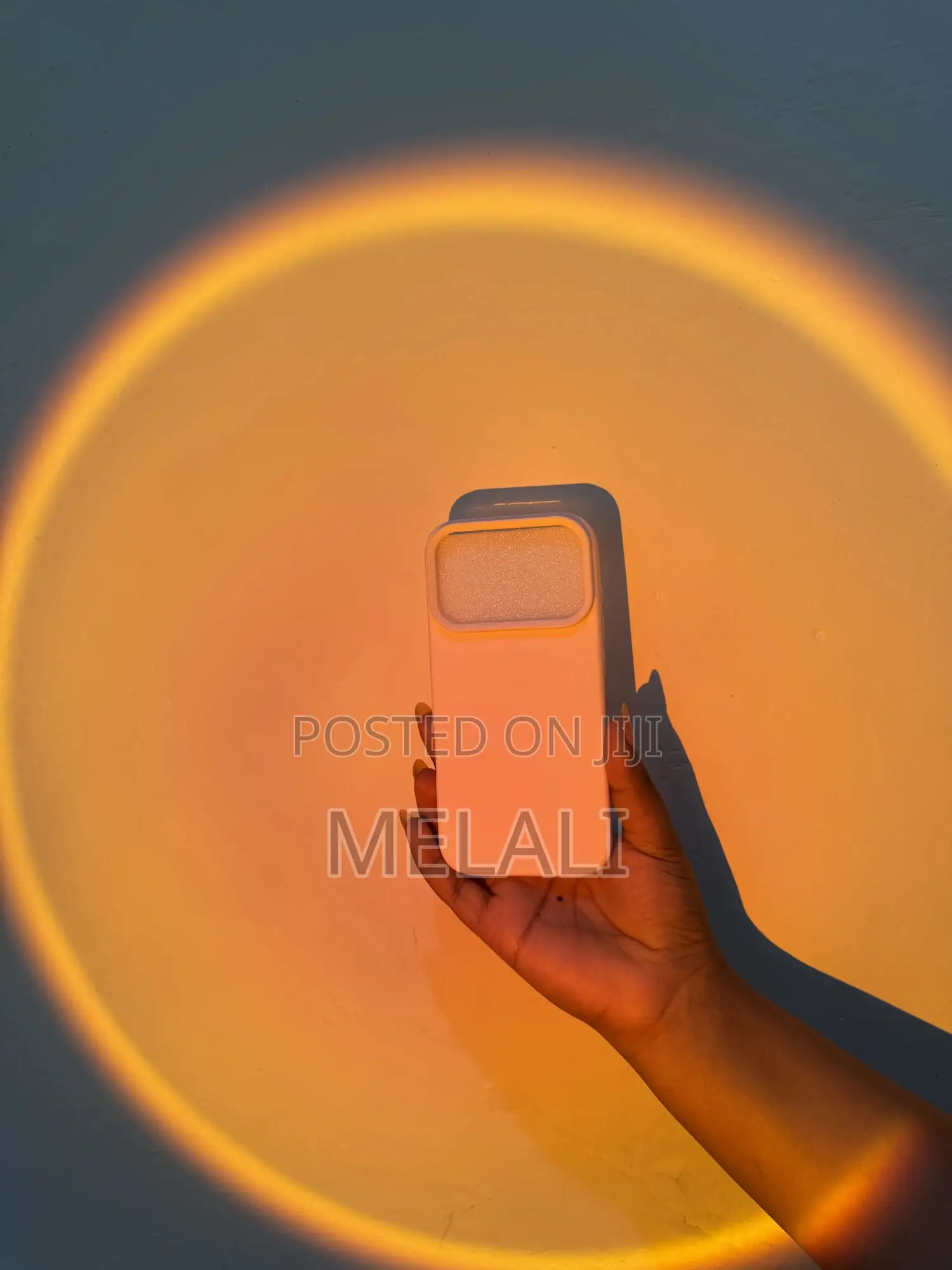 iPhone 17 Pro Phone Case