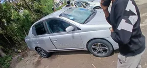 Toyota Platz 2001 Silver