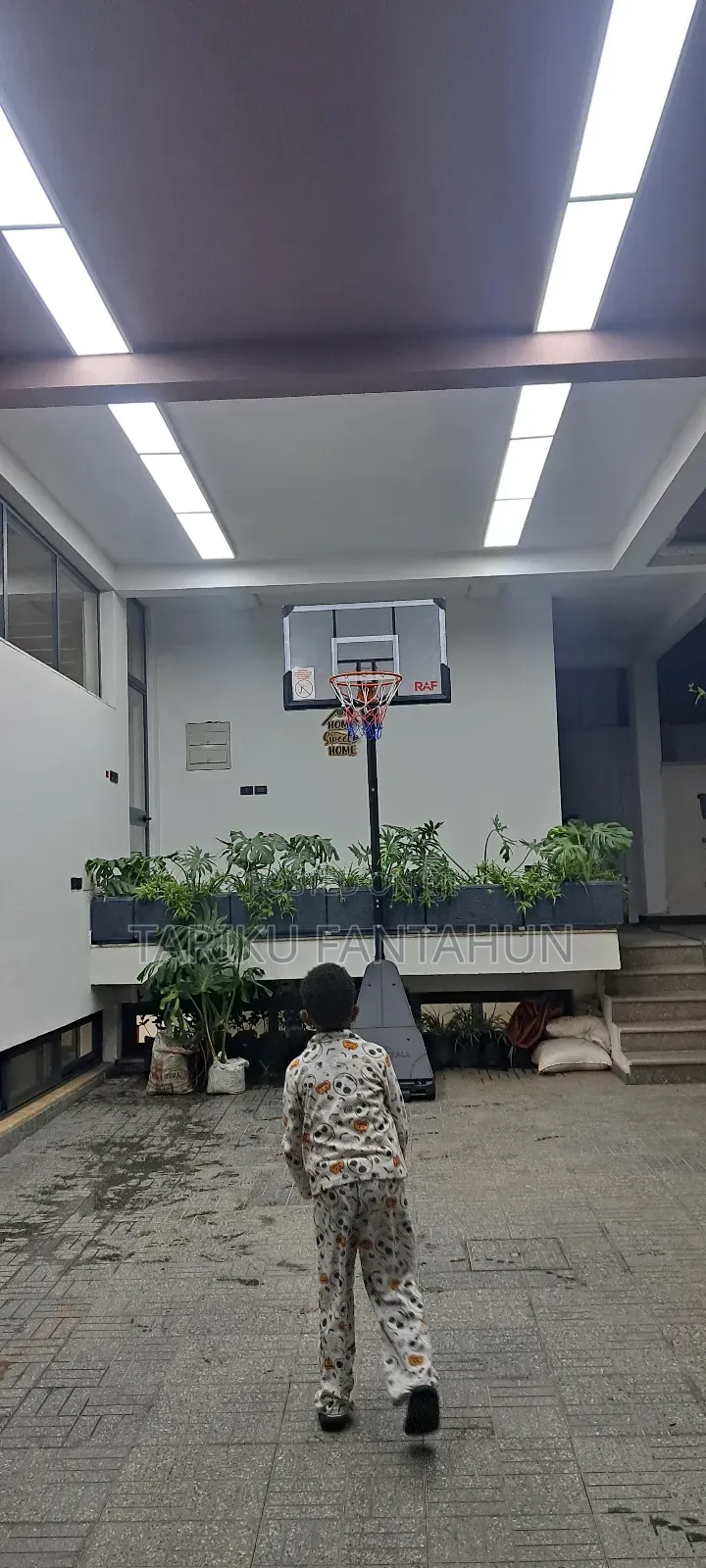 Basketball Stand
