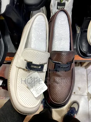 Premium Coleshot Perforated Leather Loafers