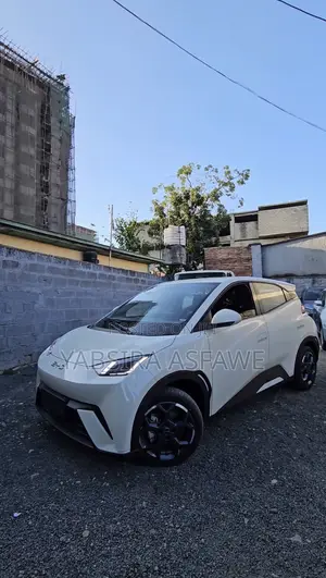 New BYD Seagull 2025 White