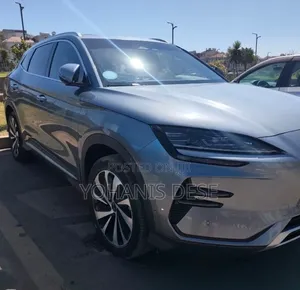 BYD Song Plus 2024 Gray