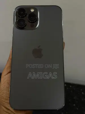 Apple iPhone 13 Pro Max 256 GB Gray