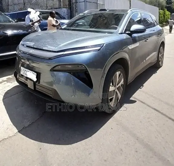 BYD Tang DM-i 2025 Green