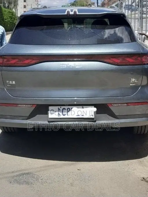 BYD Tang DM-i 2025 Green