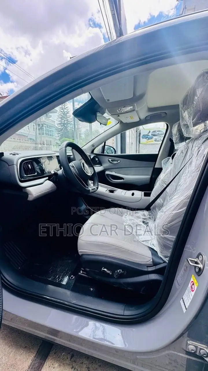 New BYD Sealion 06 EV 2025 Gray