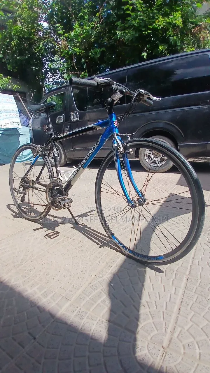 Bicycle With 2 New Tire