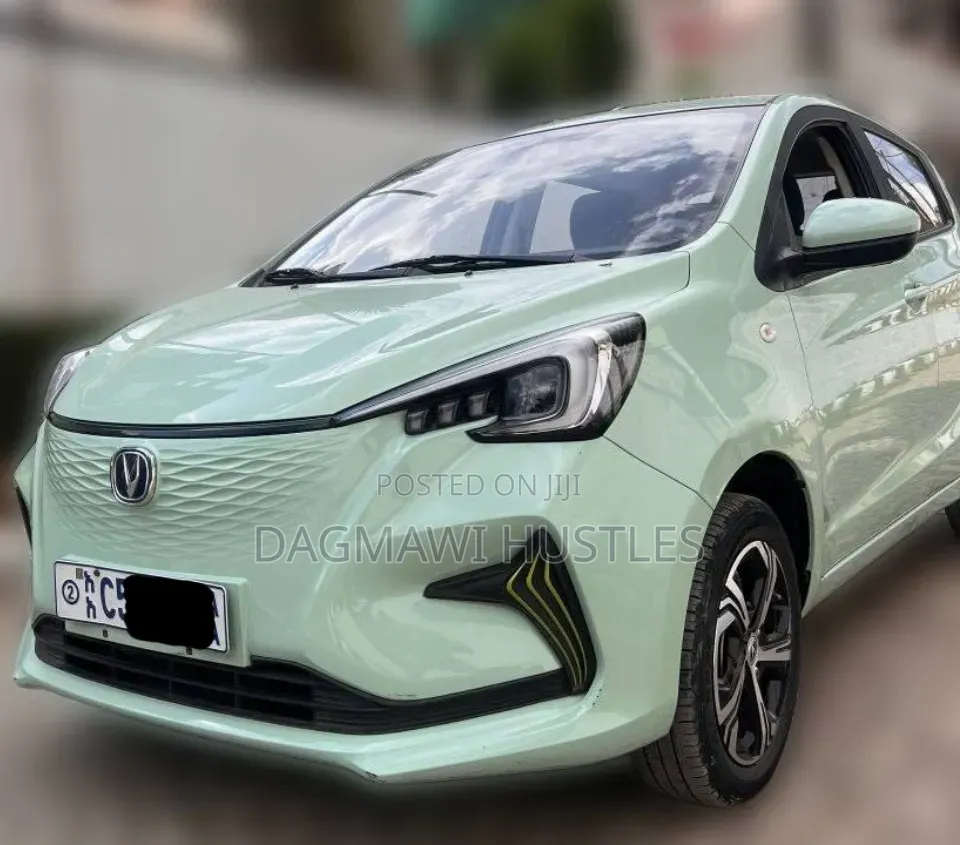 Changan BenBen E-Star 32 kWh FWD 2023 Green