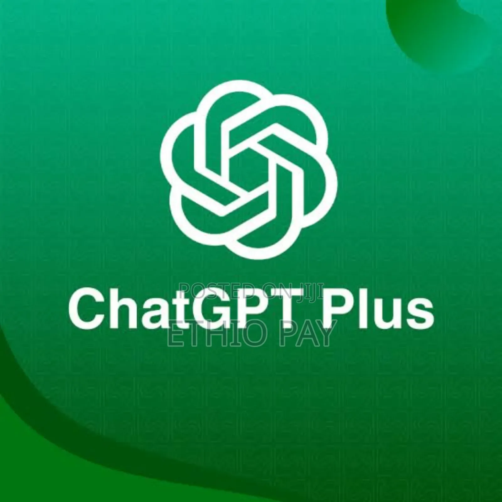 Chatgpt Plus and Pro