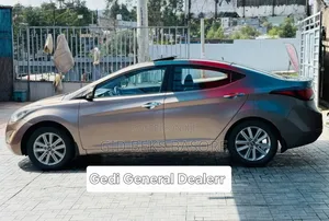 Hyundai Elantra 2015 Brown