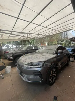 BYD Song Plus 2024 Gray