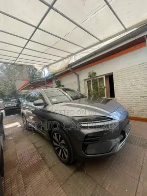BYD Song Plus 2024 Gray